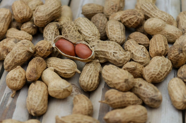 新鲜花生怎么保存 带壳花生怎么煮好吃又入味
