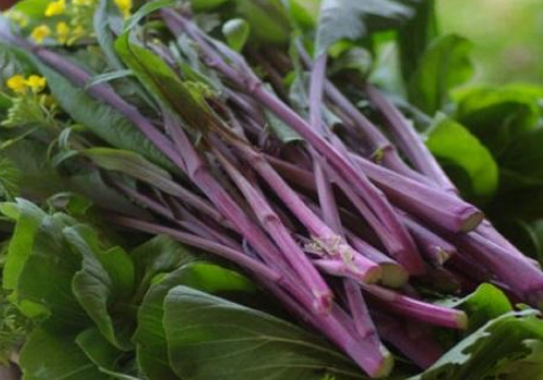 红菜苔用猪油炒还是菜籽油 ​红菜苔什么时候放醋