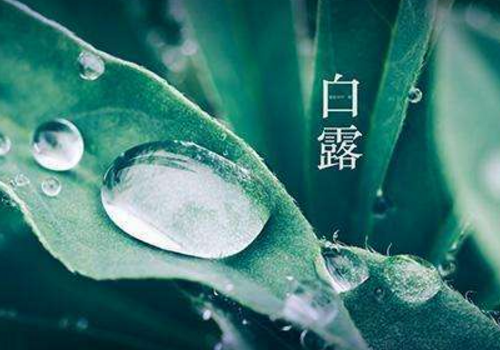 寒冬结婚最强攻略 御寒物品准备