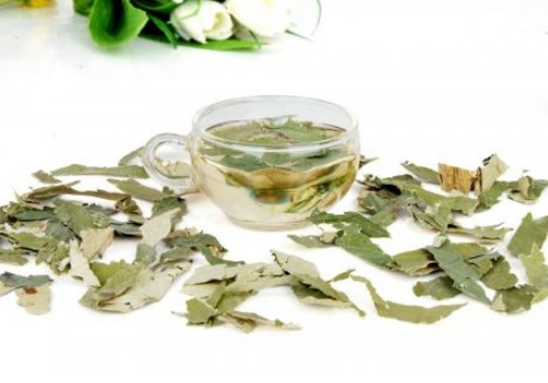 荷叶茶要不要清洗 ​荷叶茶喝了会上火吗