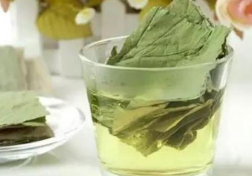 荷叶茶喝了会拉肚子吗​ 荷叶茶怎么制作