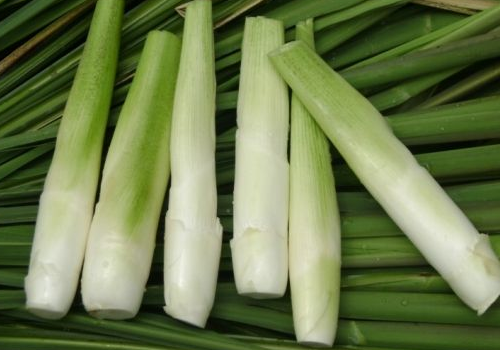 高笋的功效与作用 ​高笋和茭白有什么区别