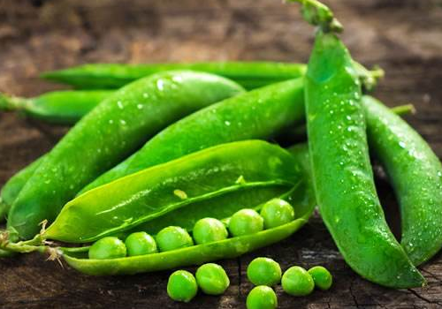 豌豆可以做豆腐吗 豌豆和甜豆的区别