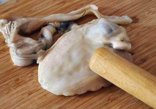 河蚌里面的黑包能吃吗 河蚌寄生虫能煮死吗