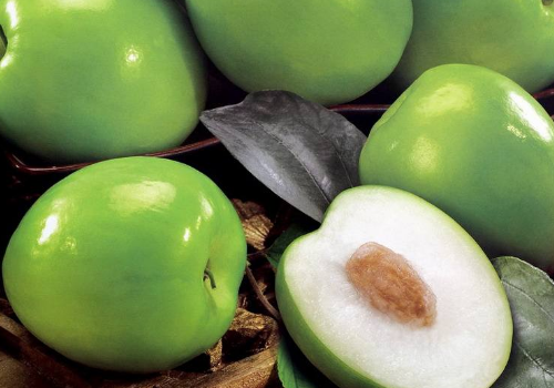 毛叶枣怎么吃 毛叶枣和青枣的区别有哪些