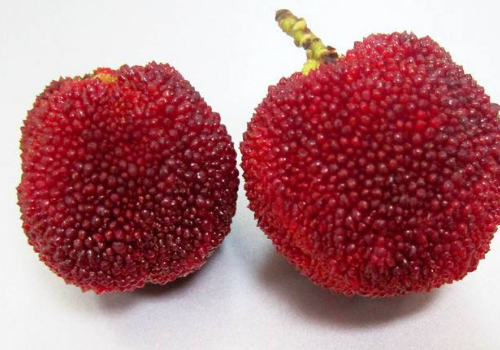 杨梅可以冷冻吗​ 杨梅冷冻可以保存多久