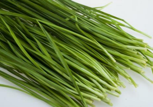 荨麻疹可以吃韭菜吗 ​荨麻疹什么时候可以吃韭菜