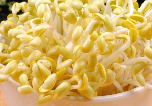 豆芽和鸡蛋能一起吃吗​ 豆芽和鸡蛋怎么吃