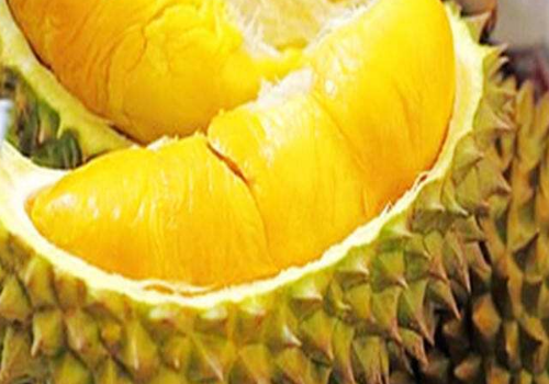 榴莲痛风能吃吗 ​榴莲肾病能吃吗