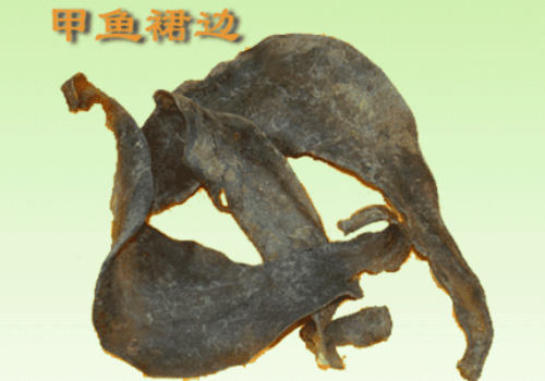 甲鱼裙边是什么 ​甲鱼裙边功效是什么