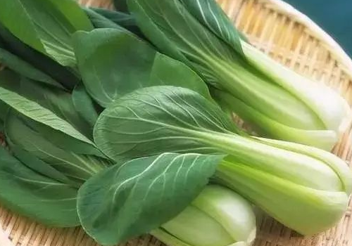 油菜怎么做给宝宝吃 ​油菜和什么搭配炒好吃