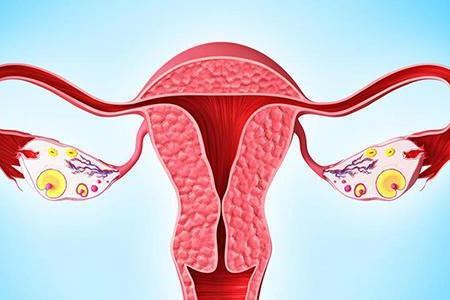女人如何预防提前绝经 女人预防提前绝经的两大方法