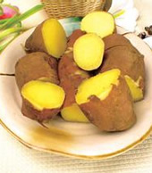 吃什么主食代替米饭能减肥
