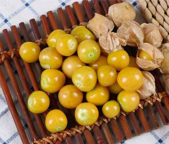 菇茑要洗吗菇茑吃多了会怎么样