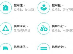 支付宝怎么立马弄30粒芝麻粒