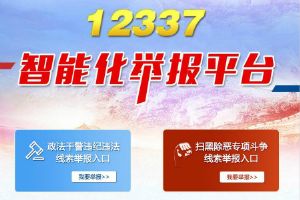 12337平台是什么