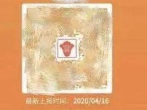 黄码是代表啥意思