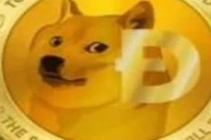狗狗币一天能挖多少个 狗狗币一天挖十万个是真的吗