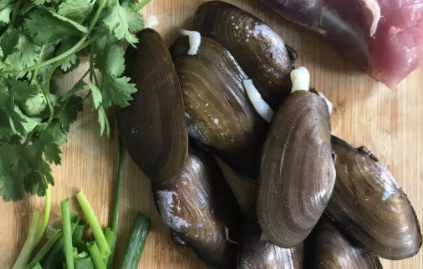 沙螺怎么洗才干净什么是沙螺