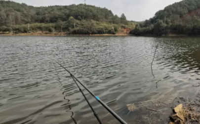 鱼竿没有护杆油用什么