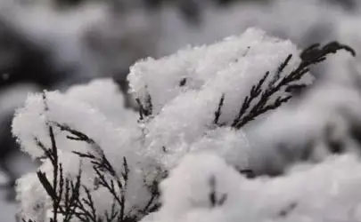 今年腊月会下大雪吗2022