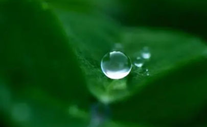 今年白露后会干旱吗2021 2021白露过后降雨多不多