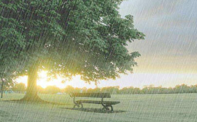 2021年冬至会下雨吗