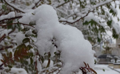 东北看雪景一般几月份 东北几月份开始下雪