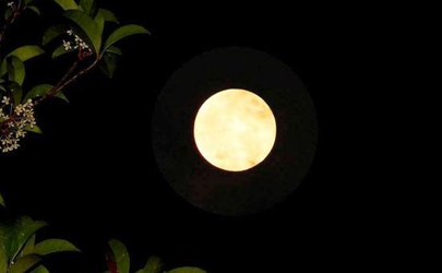 2021中秋节哪天是法定节假日