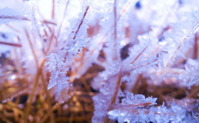 霜降多少天以后开始打霜 霜降之前会下霜吗
