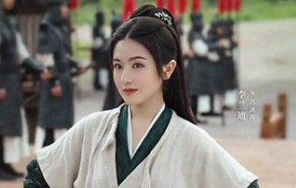 《苏记》是根据小说改编的吗 主要剧情介绍