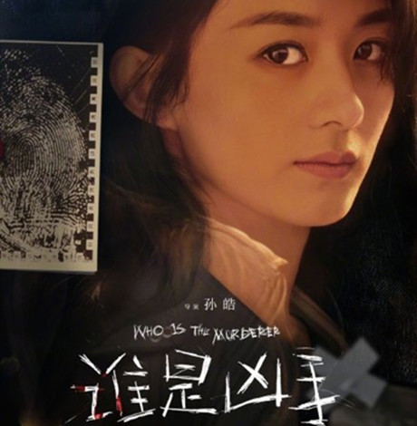 《谁是凶手》有小说吗 《谁是凶手》主要讲的是什么