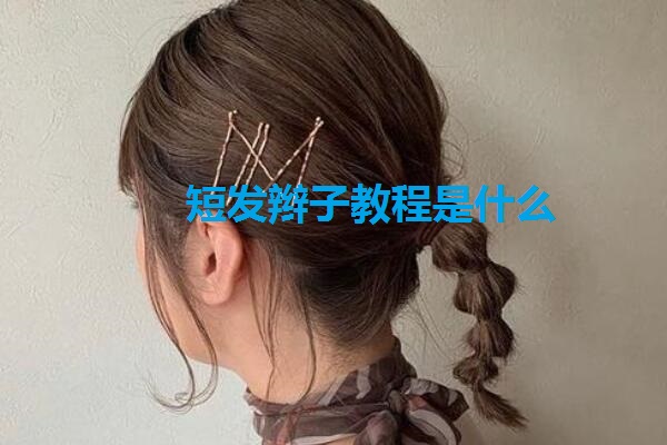 短发辫子教程是什么 短发辫子教程