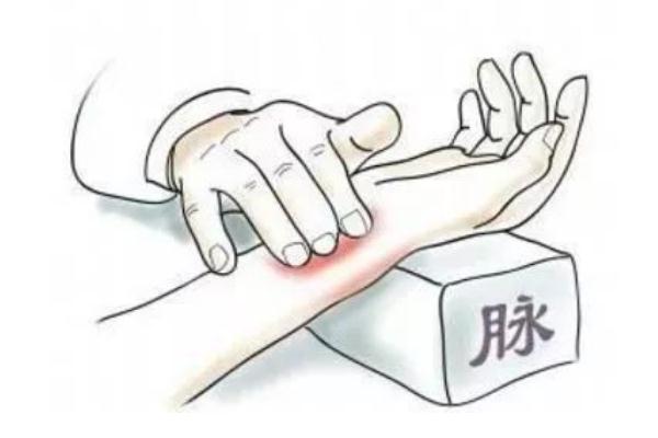 只有经验丰富的老中医才可以通过把脉知道怀孕,女性在怀孕后的脉象即