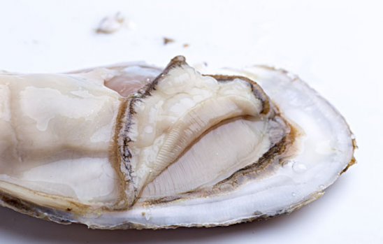 什么样的生蚝是不新鲜的 eb93010974cf620b1bc3001662f4b201_550_0.png