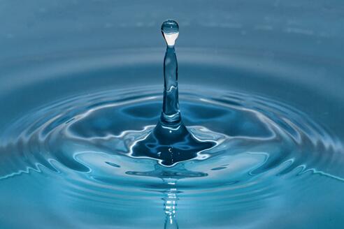 61b2ab4551c26_300_300.jpg