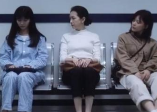 《别惹白鸽》播放率怎么样 别惹白鸽情吻戏第几集