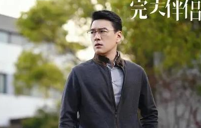 《完美伴侣》有哪些看点 剧集质量怎么样