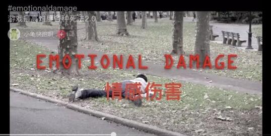 emotional damage是什么意思 emotional damage是什么梗