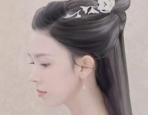 《半城花雨伴君离》是什么题材