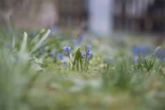 2022年农历二月十一是黄道吉日吗 日子时辰吉凶