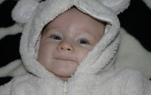 c6a6482f71d4de950b16741e0808a34d_550_0.jpeg