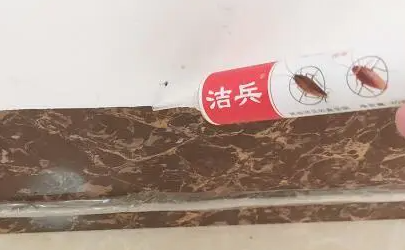 杀蟑胶饵多长时间清理 蟑螂胶饵杀死的蟑螂要清除吗