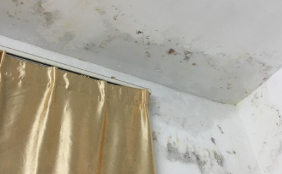 卧室墙面发霉对身体健康有影响吗 墙发霉用什么办法能解决