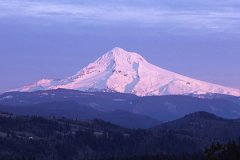 2022年农历四月二十五黄历好不好 是黄道吉日吗