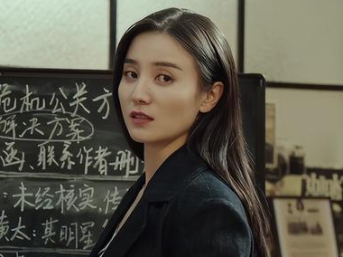 《纵有疾风起》讲述什么故事 靳东将与宋佳合作