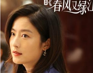 《春风又绿江南岸》是什么题材的剧