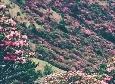 台湾名景的导游词