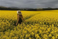 2022年9月黄道吉日出行