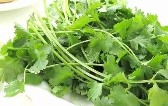香菜怎么保存的更久 112488_7_550_0.jpeg
